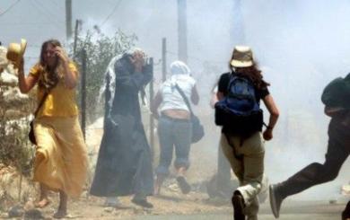 اطلق الجيش الاسرائيلي قنابل مسيلة للدموع على المتظاهرين