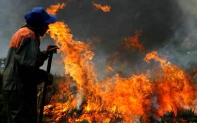 رجال الاطفاء يقومون باخماد حرائق الغابات