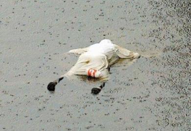 جثة طافية فوق الماء في نيواورلينز حيث مازالت آلاف الجثث تنتظر انتشالها