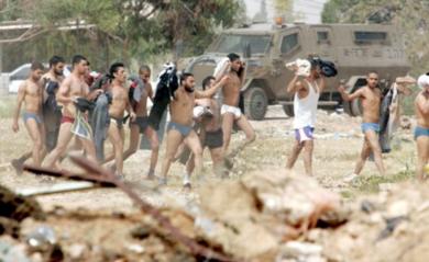 المساجين الفلسطينيون يمشون نحو القوات الاسرائيلية التي امرتهم بالتقدم لاعتقالهم بعد خلع ملابسهم