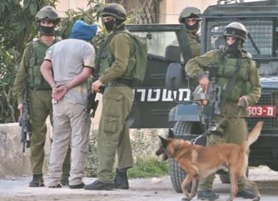 القوات الاسرائيلية تعتقل العديد من الفلسطينيين
