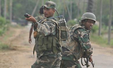 الجيش يلقي اللوم على نمور التاميل