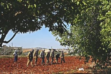 تحديد مواقع القنابل العنقودية يعرقل عملية "تنظيف" جنوب لبنان