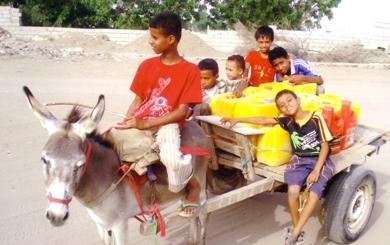 أطفال يجلبون الماء بواسطة عربات الحمير