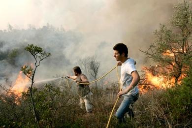 موطنون يحاولون اخماد الحريق في الغابة
