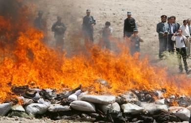 احراق كميات من المخدرات في كابول
