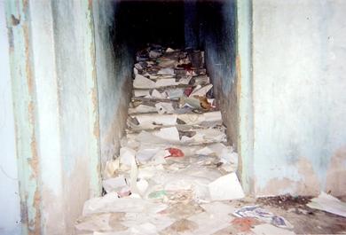 صورة تظهر مستندات رسمية مرمية كالقمامة في أحد أزقة المبنى