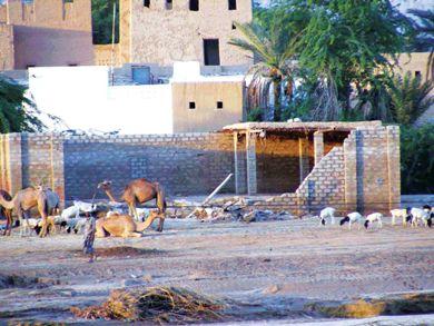 قرى وادي حضرموت بعد السيول بأسبوع