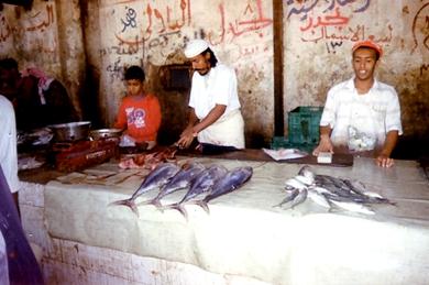 خريجون يبيعون الأسماك
