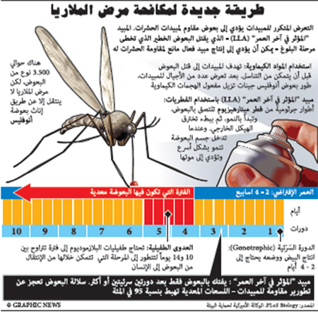 مرض الملاريا 