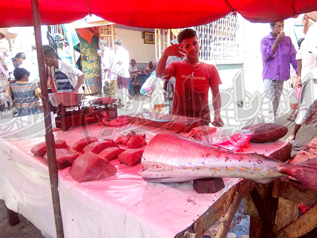 احد بائعي السمك بسوق الشيخ عثمان