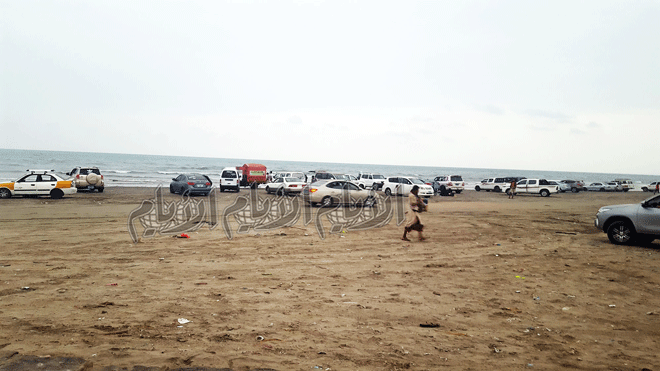 صورة يظهر فيها تجمع السيارات في الساحل لتعاطي القات