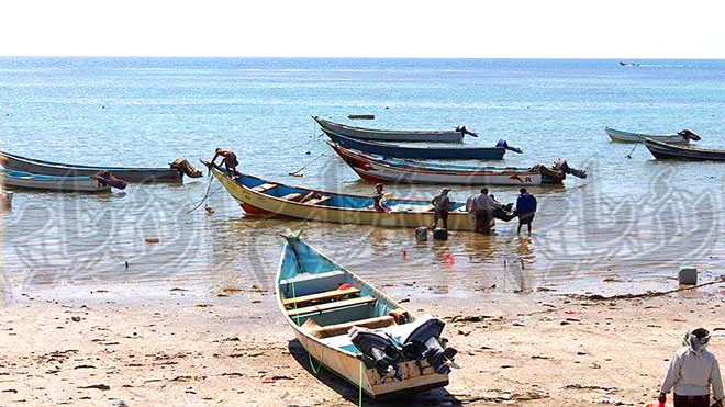 الصيد العشوائي للأسماك مشكلة تهدد الاقتصاد والإنسان والبيئة باليمن