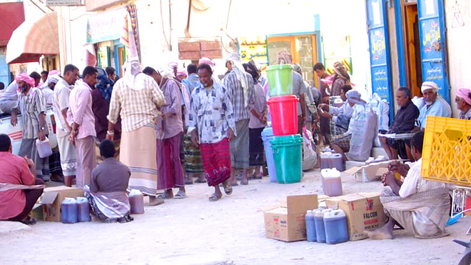 سوق القطن.. قبلة النحالين من معظم المحافظات ومنطقة شرورة بالسعودية 23263474764