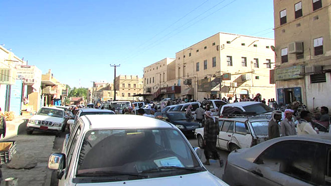 سوق القطن.. قبلة النحالين من معظم المحافظات ومنطقة شرورة بالسعودية 67474674