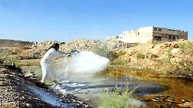 حملة رش مادة الجير على أماكن تكاثر البعوض في غيل باوزير