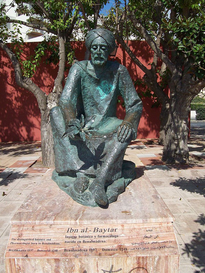تمثال لابن البيطار في مدينة ملقا الإسبانية كتب على صرحه باللغة العربية (العلامة ابن البيطار عالم النباتات والعقاقير)