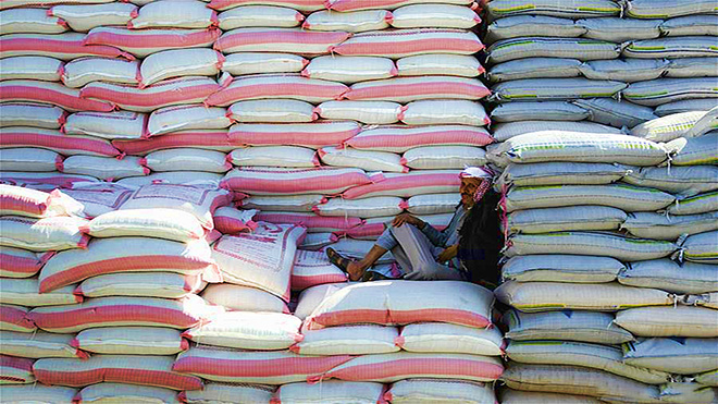 34 % من إجمالي واردات القمح سنويًا من روسيا وأوكرانيا..