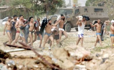 المساجين الفلسطينيون يمشون نحو القوات الاسرائيلية التي امرتهم بالتقدم لاعتقالهم بعد خلع ملابسهم المساجين الفلسطينيون يمشون نحو القوات الاسرائيلية التي امرتهم بالتقدم لاعتقالهم بعد خلع ملابسهم