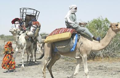 نزوح الآلاف من العرب المحاميد إلى تشاد