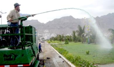 تشجير المتنفسات والشوارع في عدن تشجير المتنفسات والشوارع في عدن