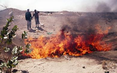 احراق كراتيين دجاج تالف في شبوة احراق كراتيين دجاج تالف في شبوة