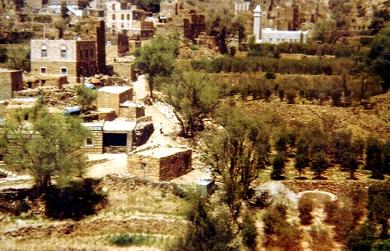 شحة المياه أثرت كثيرا على زراعة البن في منطقة عدينة حزيز شحة المياه أثرت كثيرا على زراعة البن في منطقة عدينة حزيز