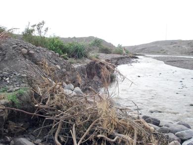 السيول جرفت الأراضي الزراعية السيول جرفت الأراضي الزراعية