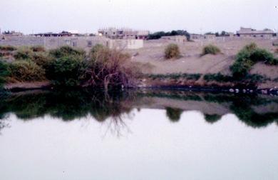 بوادر الكارثة بوادر الكارثة