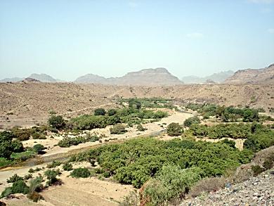 وادي تبن وتظهر أضراره على الأراضي الزراعية وادي تبن وتظهر أضراره على الأراضي الزراعية