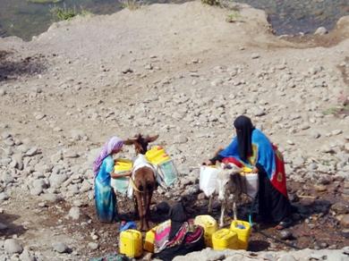 طريقة نقل الماء على ظهور الحمير طريقة نقل الماء على ظهور الحمير