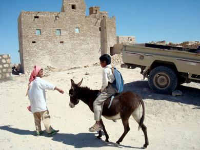 الطلاب يستخدمون الحمير الطلاب يستخدمون الحمير