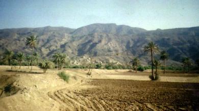 الجفاف الذي أصاب النخيل والزرع الجفاف الذي أصاب النخيل والزرع