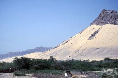 كورة بوحر كورة بوحر