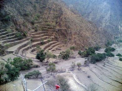 مدرجات تتسلق الجبل مدرجات تتسلق الجبل