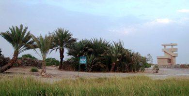 برج لمراقبة الطيور برج لمراقبة الطيور