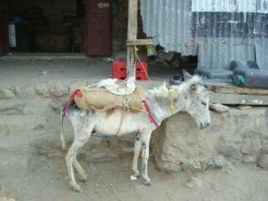 وسيلة مواصلات وسيلة مواصلات