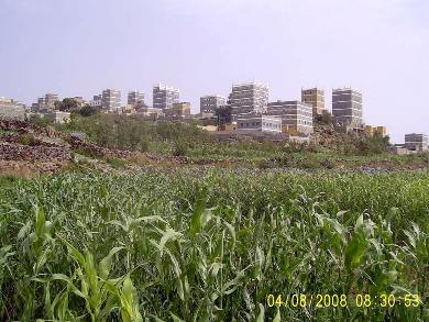 فحالة فحالة