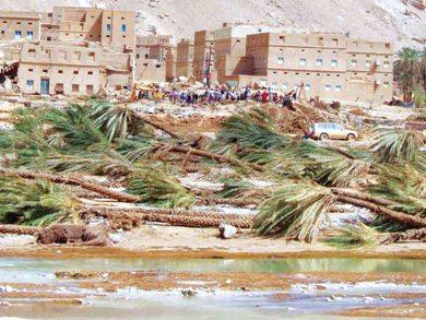غيل عمر بمديرية ساه وقد تساقطت أشجار النخيل والأهالي يبحثون تحت الأنقاض غيل عمر بمديرية ساه وقد تساقطت أشجار النخيل والأهالي يبحثون تحت الأنقاض