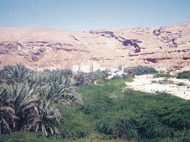 مناطق زراعية مناطق زراعية