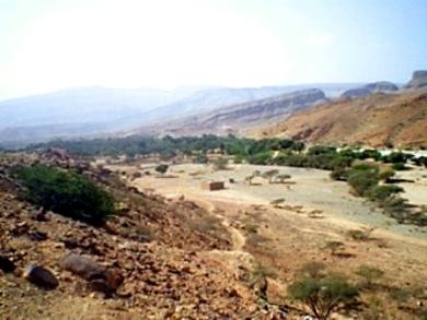 المطهاف المطهاف