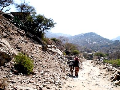 صعوبة الطريق واضحة