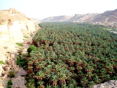 صورة لساه من أعلى قمة الجبل الذي تقع عليه الكافرية صورة لساه من أعلى قمة الجبل الذي تقع عليه الكافرية