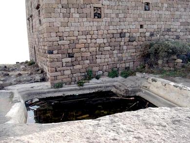 بركة بجانب دار الملك الحميري