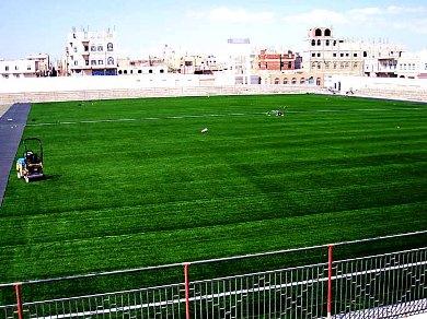 ملعب كرة القدم المعشب ملعب كرة القدم المعشب