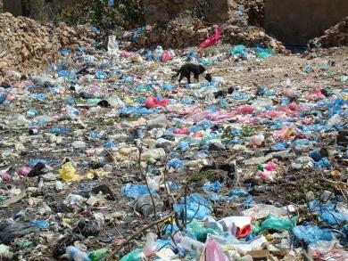 هكذا واقع الحال بالتربة هكذا واقع الحال بالتربة