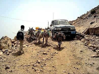 الحمير هي الوسيلة الوحيدة لجلب الماء من المناطق البعيدة الحمير هي الوسيلة الوحيدة لجلب الماء من المناطق البعيدة