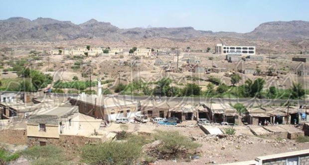 صورة عامة لكرش