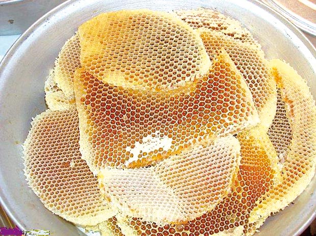 عسل السدر عسل السدر