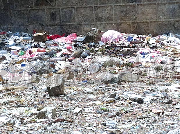 القمامة داخل أسوار الكلية القمامة داخل أسوار الكلية